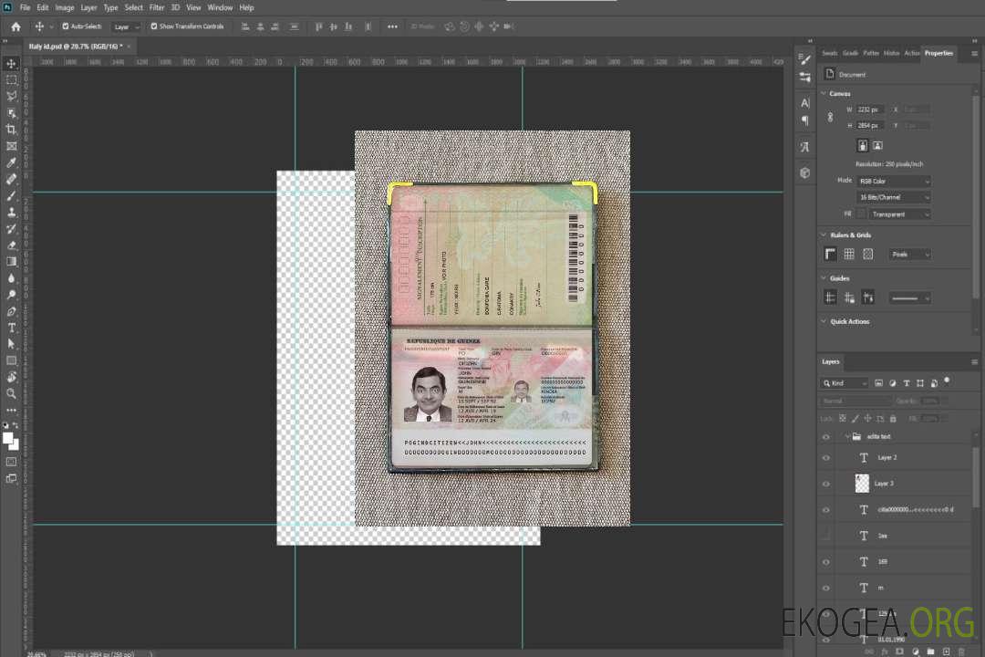 Aperçu photo du passeport guinéen (2018-présent) template